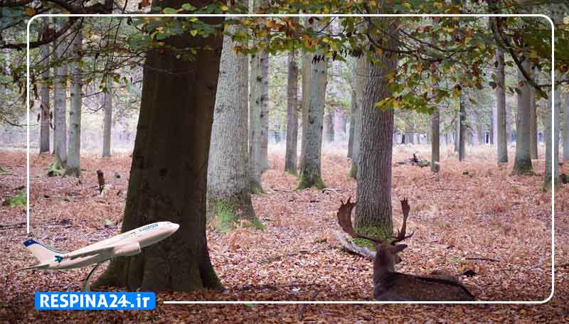 خرید بلیط هواپیما تهران فرانکفورت، قیمت بلیط هواپیما تهران فرانکفورت، پرواز تهران فرانکفورت ارزانترین بلیط هواپیما تهران فرانکفورت